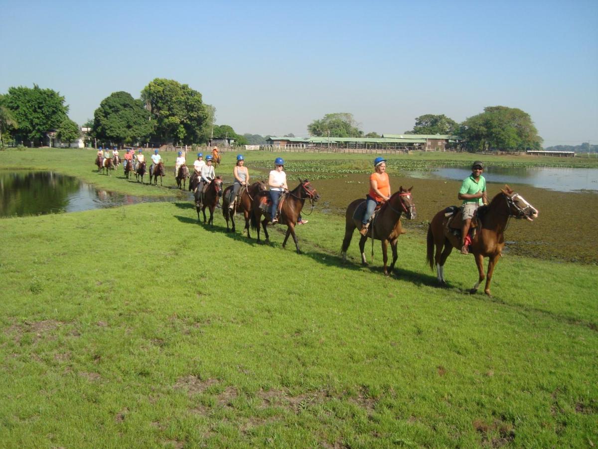 Pantanal Jungle Lodge Passo do Lontra Екстер'єр фото
