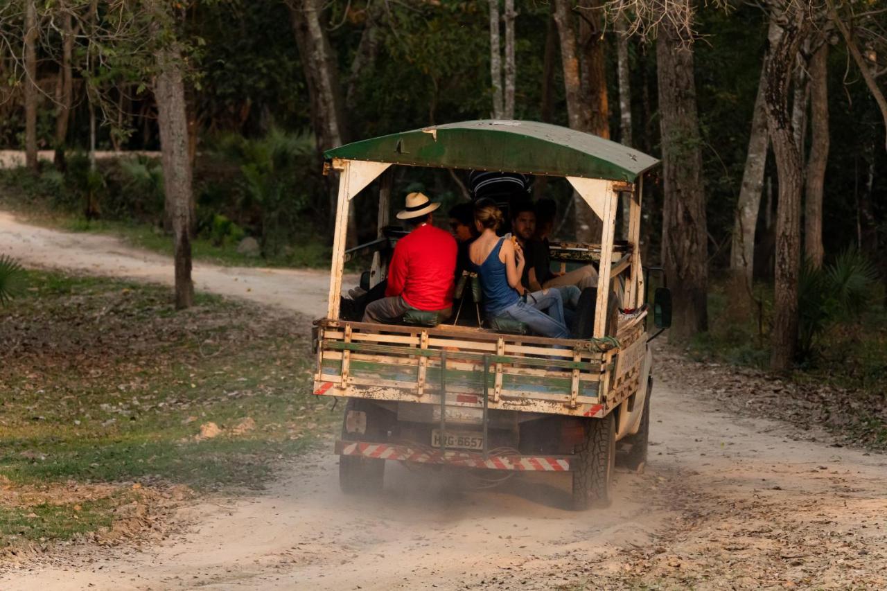 Pantanal Jungle Lodge Passo do Lontra Екстер'єр фото