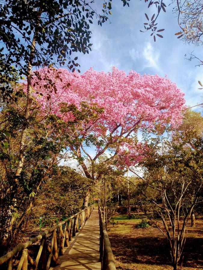 Pantanal Jungle Lodge Passo do Lontra Екстер'єр фото